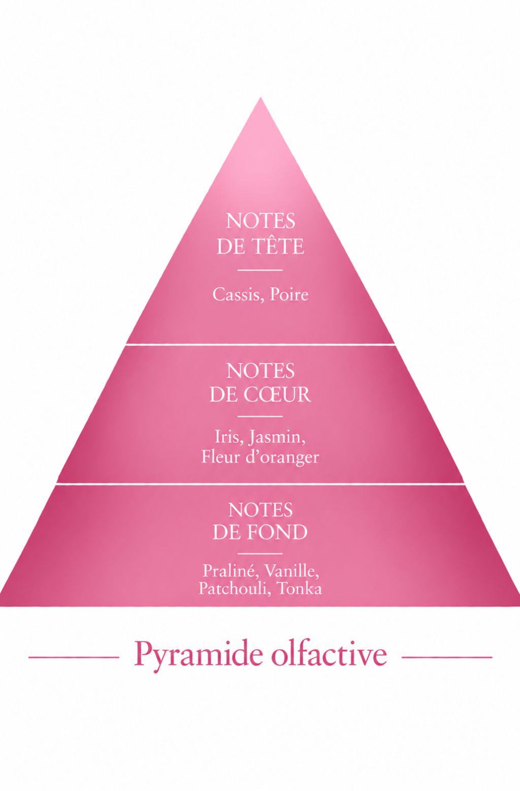 Pyramide Olfactive Audacieuse inspiration La Vie est Belle Le Comptoir des Fragrances