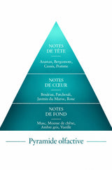 Pyramide Olfactive Aventure inspiration Aventus Le Comptoir des Fragrances