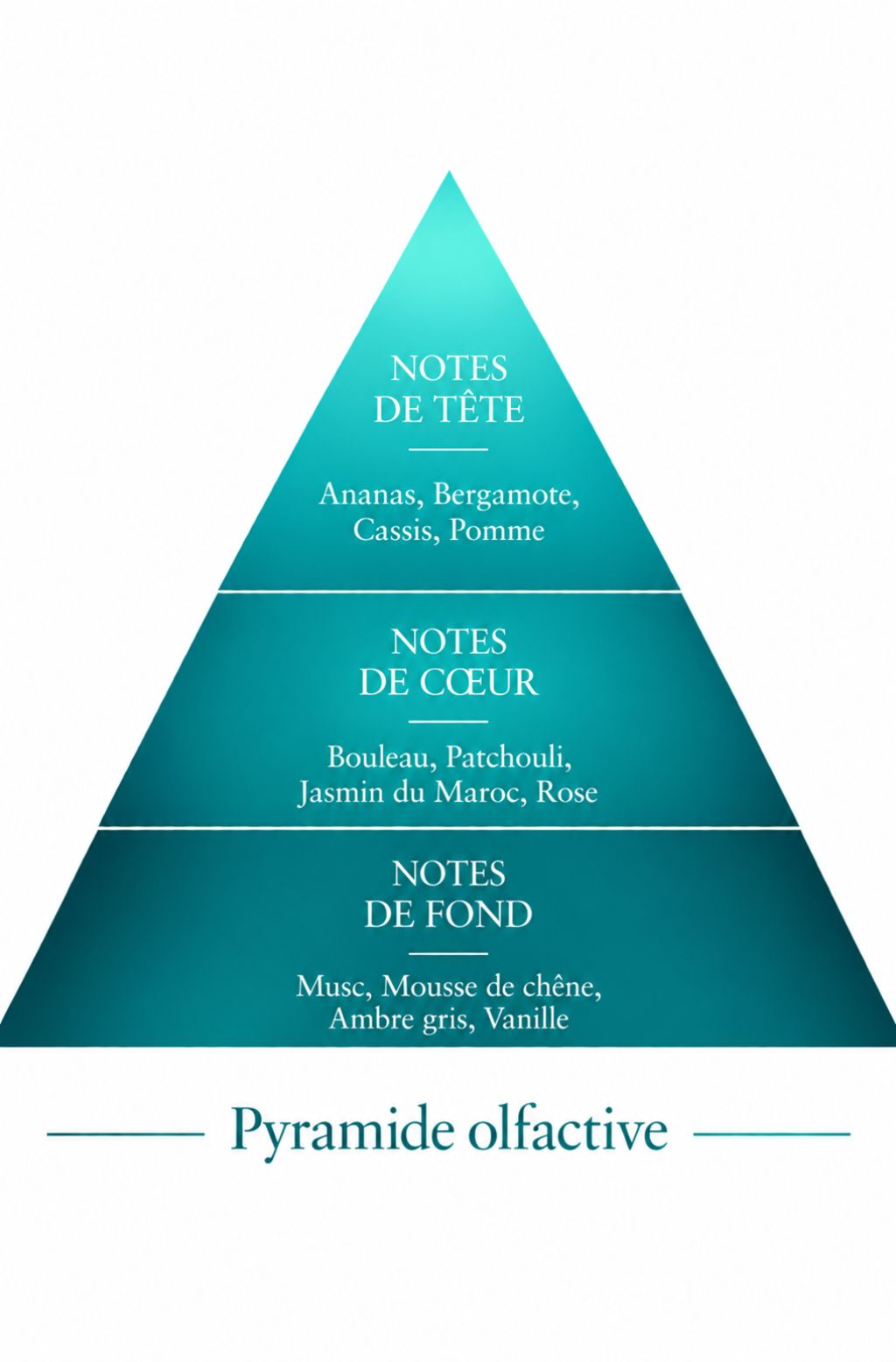 Pyramide Olfactive Aventure inspiration Aventus Le Comptoir des Fragrances