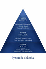 Pyramide olfactive de la recharge 50 ml Crazy Blue — inspiration Crazy Moody, Le Comptoir des Fragrances