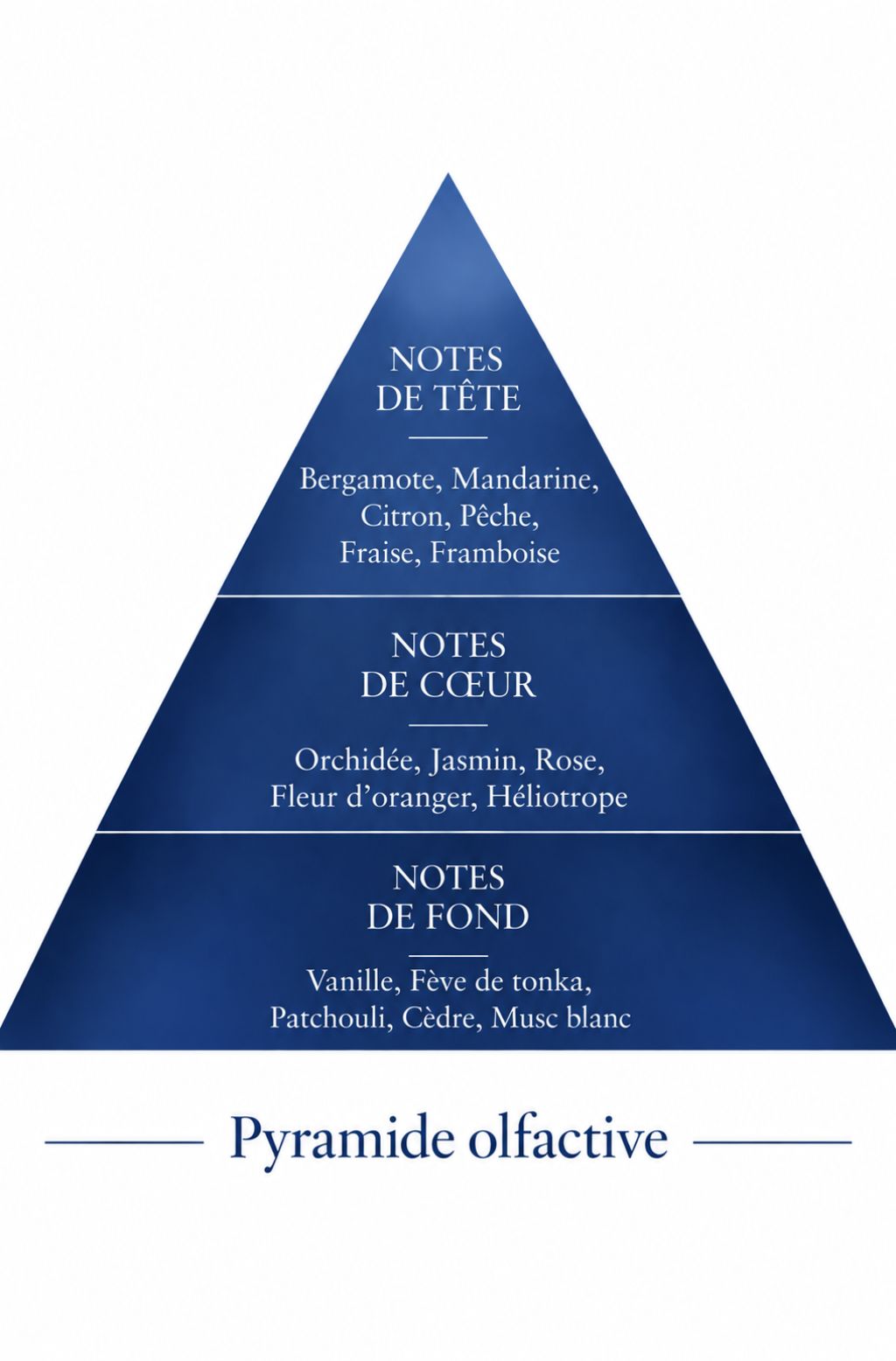 Pyramide olfactive de la recharge 50 ml Crazy Blue — inspiration Crazy Moody, Le Comptoir des Fragrances