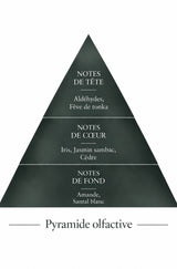 Pyramide Olfactive Envoûtant inspiration Kryptonite Le Comptoir des Fragrances