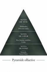Pyramide olfactive de la recharge 50 ml Envoûtant — inspiration Kryptonite, Le Comptoir des Fragrances