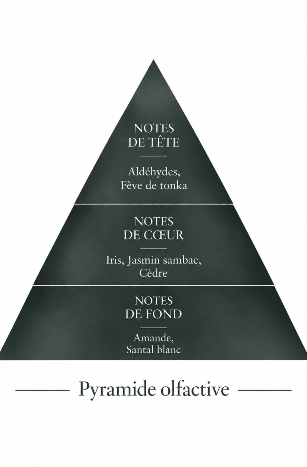 Pyramide olfactive de la recharge 50 ml Envoûtant — inspiration Kryptonite, Le Comptoir des Fragrances