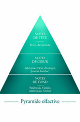 Pyramide Olfactive Illicite inspiration My Way Le Comptoir des Fragrances