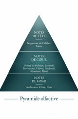 Pyramide Olfactive Indomptable inspiration Sauvage Le Comptoir des Fragrances