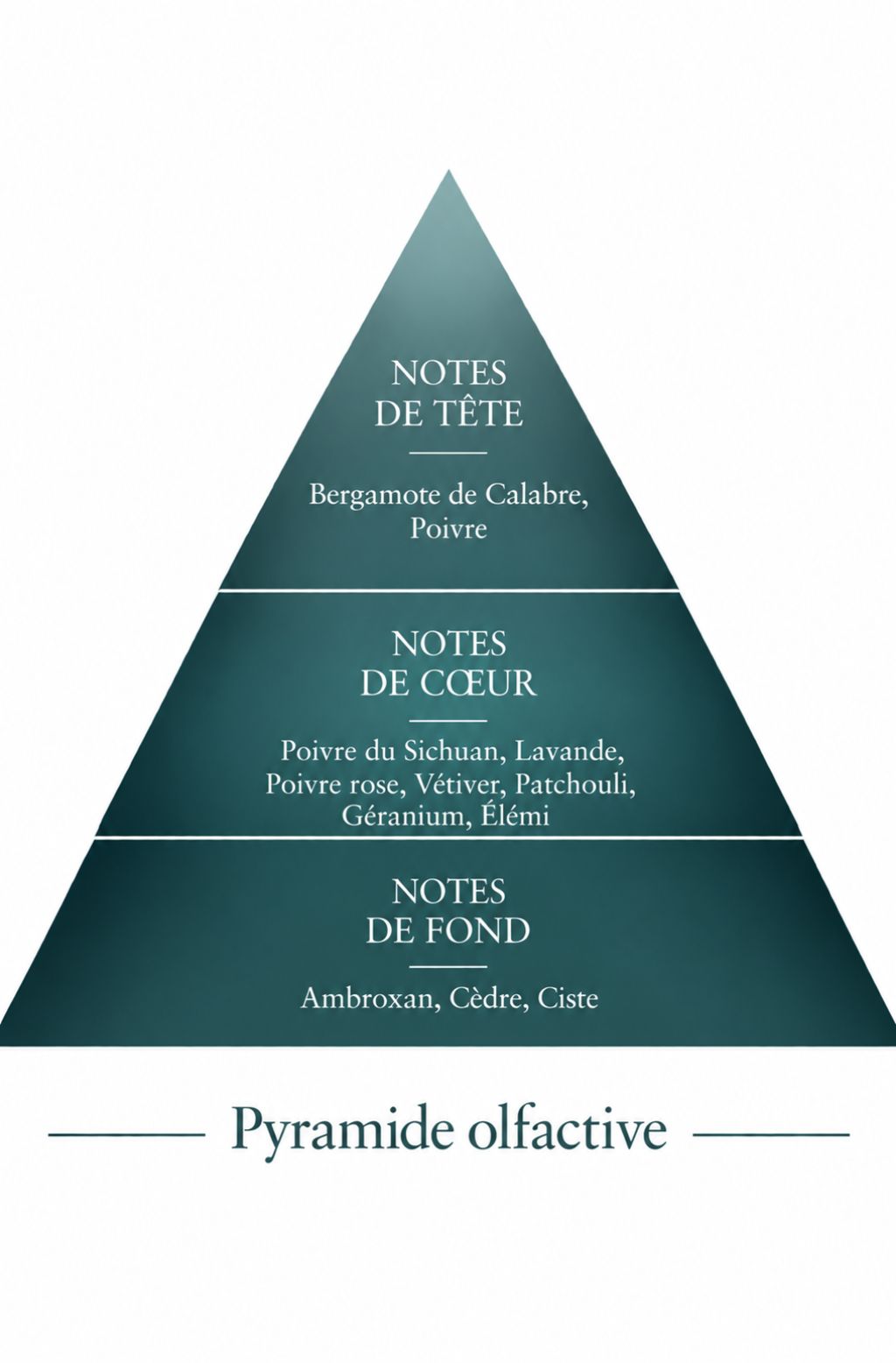 Pyramide Olfactive Indomptable inspiration Sauvage Le Comptoir des Fragrances