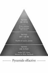 Pyramide olfactive Invisible, parfum d'inspiration Invictus, Le Comptoir des Fragrances