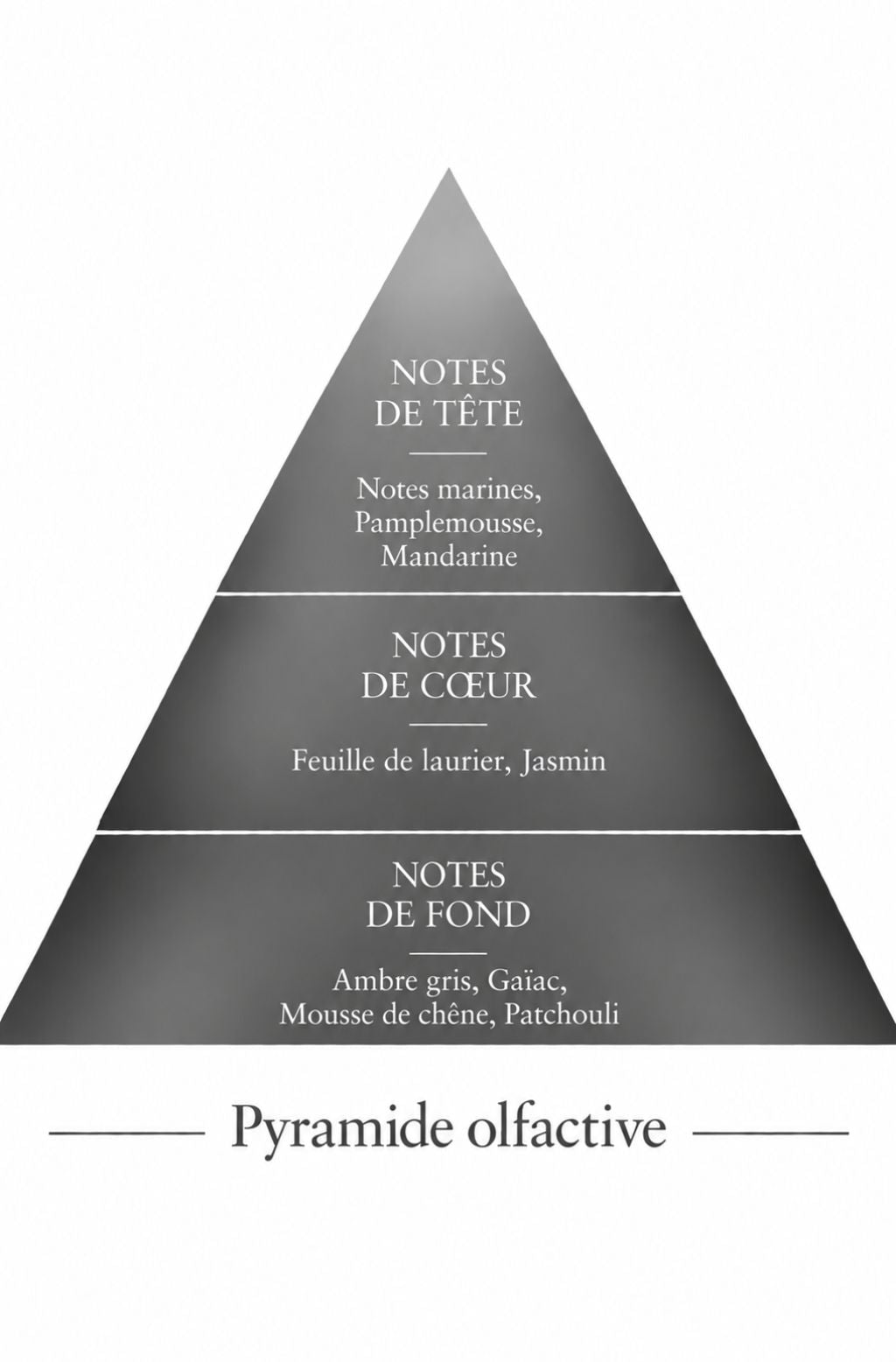 Pyramide olfactive Invisible, parfum d'inspiration Invictus, Le Comptoir des Fragrances