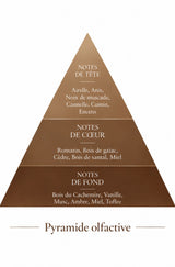 Pyramide olfactive de l'échantillon 3 ml Kalimah — inspiration Kalemat, Le Comptoir des Fragrances
