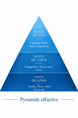 Pyramide olfactive de la recharge 50 ml Luma Bleu — inspiration Mula Mula Bleu, Le Comptoir des Fragrances