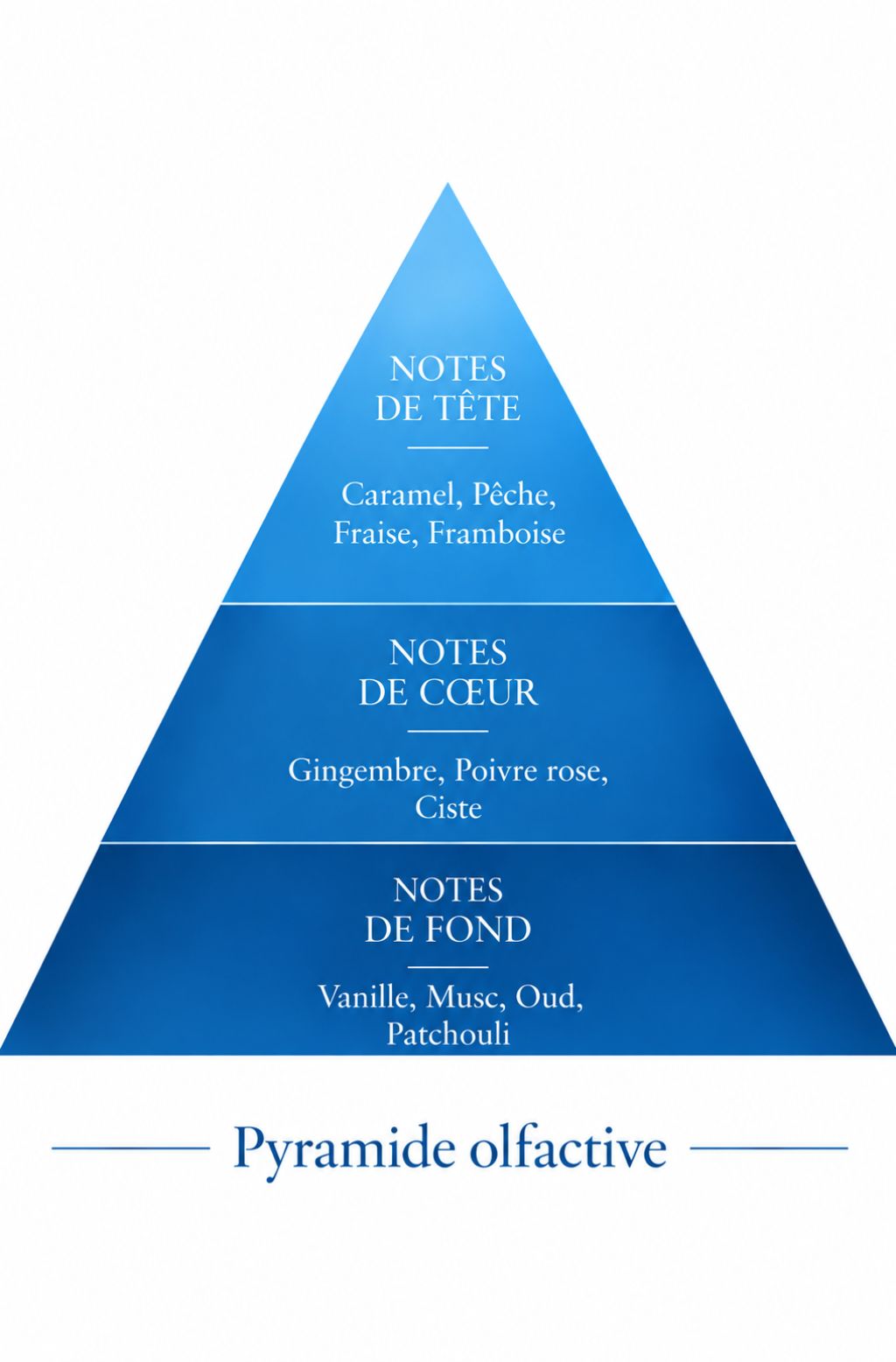 Pyramide olfactive de la recharge 50 ml Luma Bleu — inspiration Mula Mula Bleu, Le Comptoir des Fragrances
