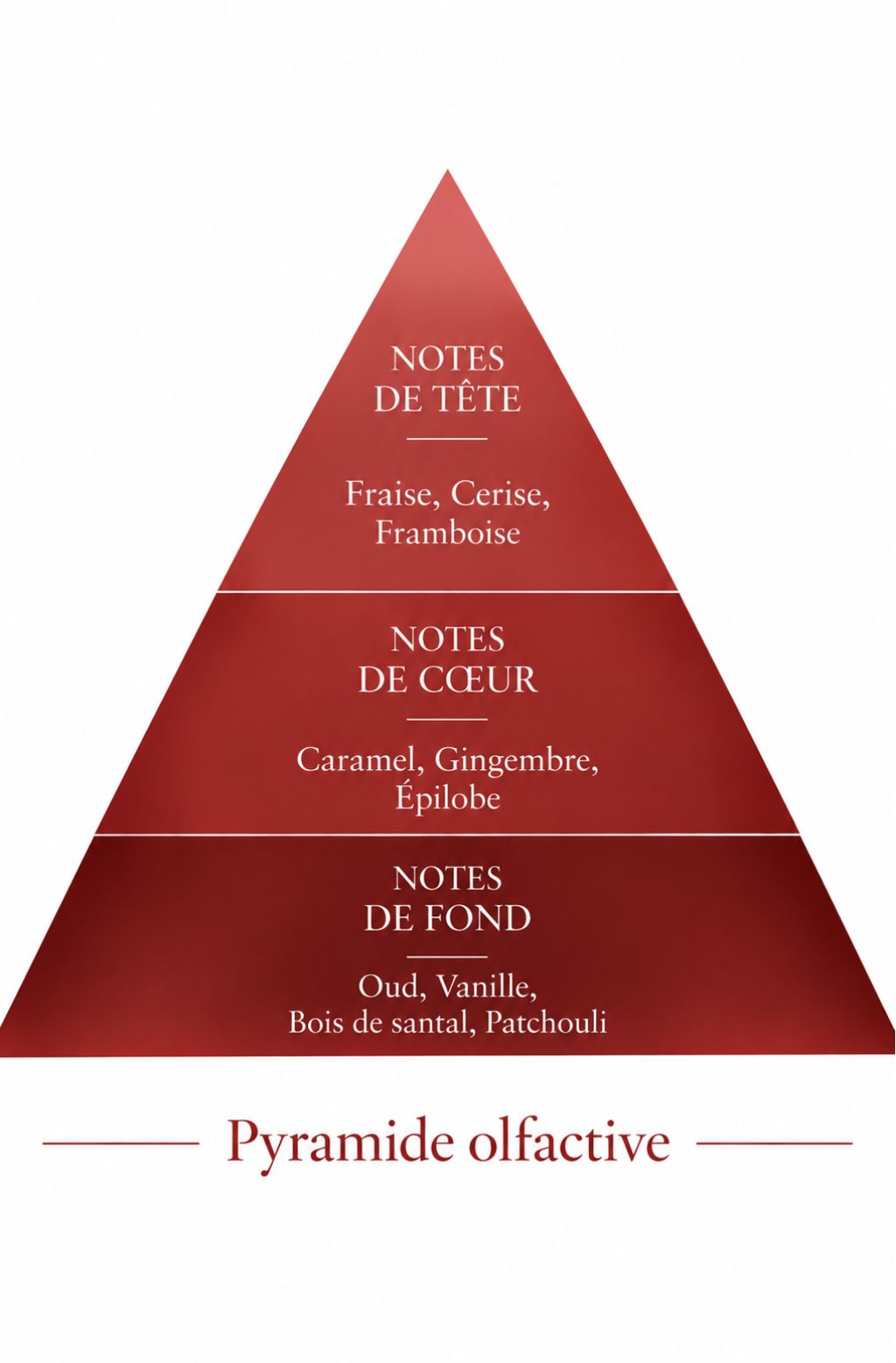 Pyramide olfactive de la recharge 50 ml Luma Rouge — inspiration Mula Mula Rouge, Le Comptoir des Fragrances