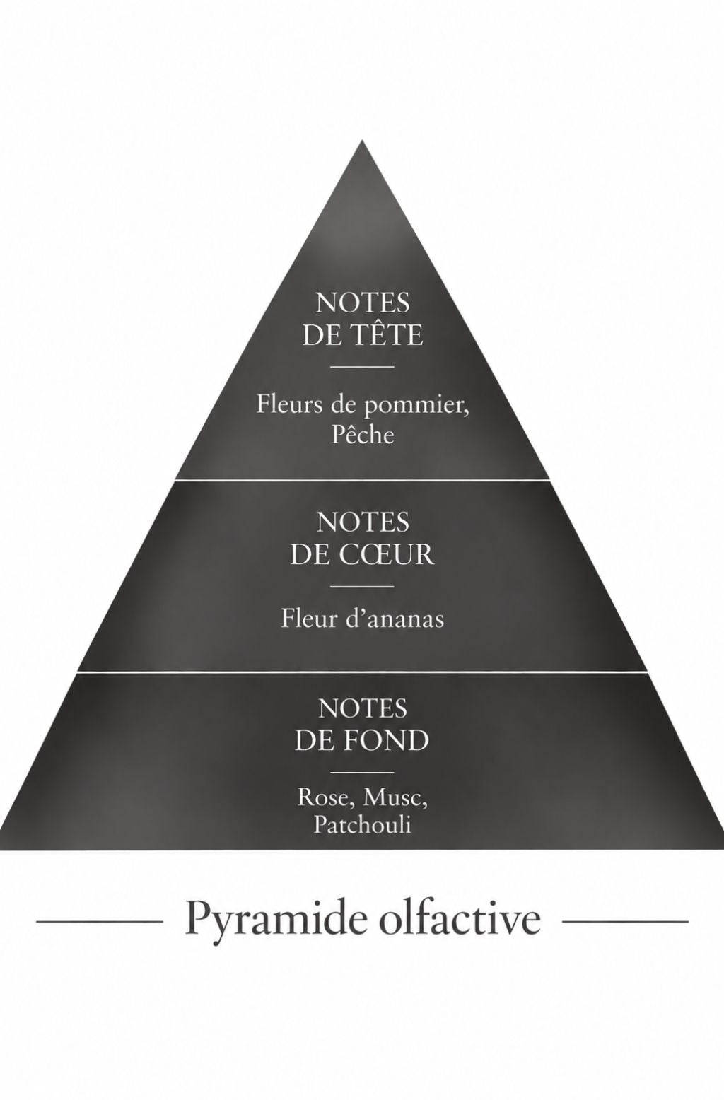 Pyramide Olfactive Madawoui inspiration Madawi Le Comptoir desFragrances