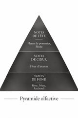 Pyramide Olfactive Madawoui inspiration Madawi Le Comptoir desFragrances