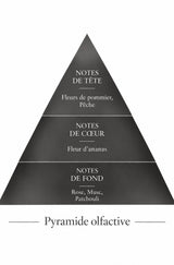 Pyramide olfactive de la recharge 50 ml Madawoui — inspiration Madawi, Le Comptoir des Fragrances