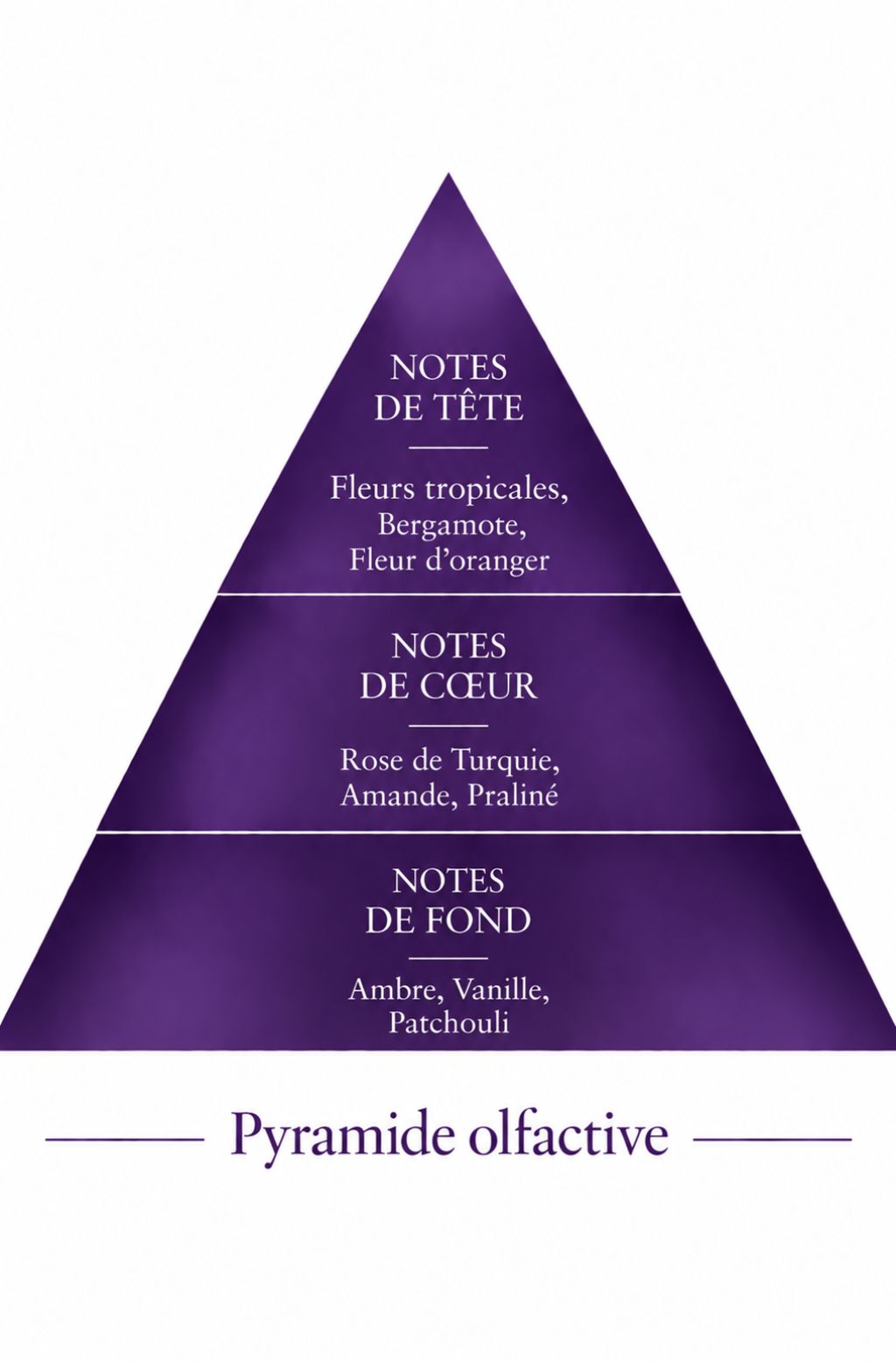 Pyramide olfactive de la recharge 50 ml Magique — inspiration Magic, Le Comptoir des Fragrances