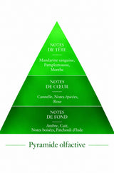 Pyramide Olfactive Milli inspiration 1 Million Le Comptoir des Fragrances