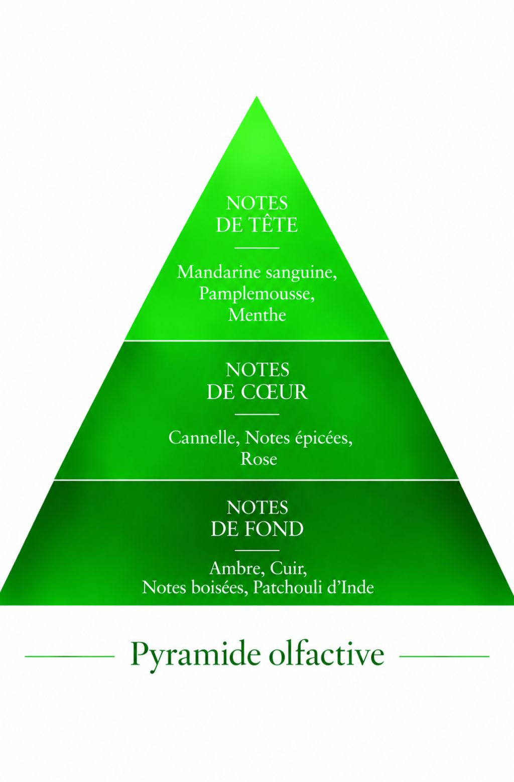 Pyramide Olfactive Milli inspiration 1 Million Le Comptoir des Fragrances