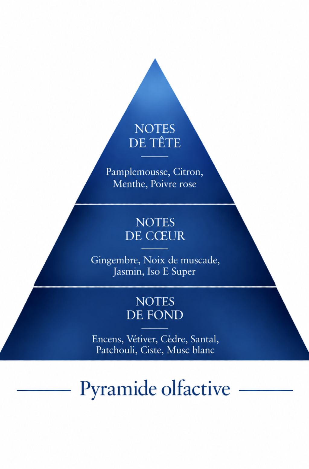 Pyramide Olfactive Océan inspiration Bleu Le Comptoir des Fragrances