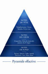 Pyramide Olfactive Océan inspiration Bleu Le Comptoir des Fragrances