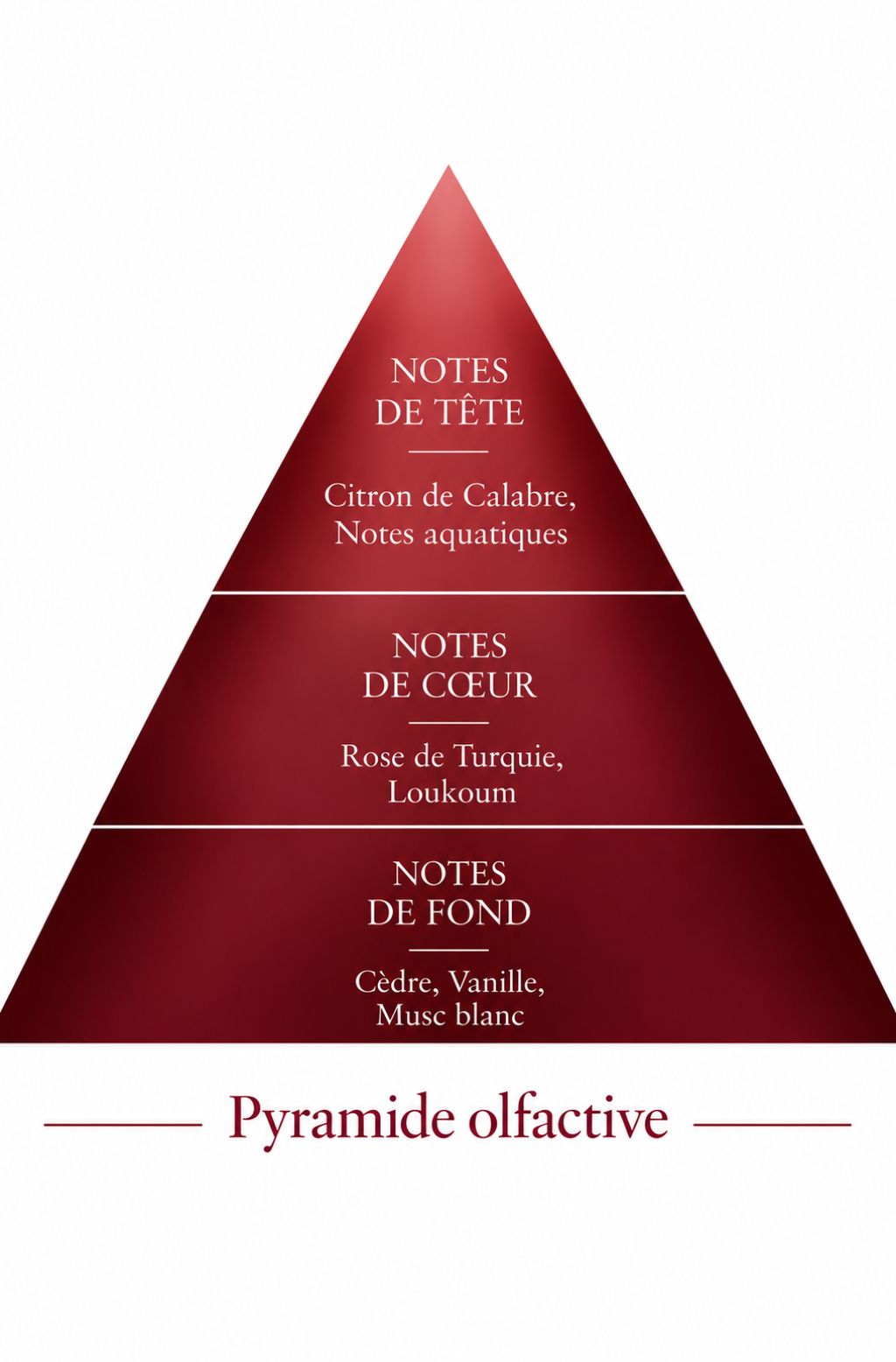 Pyramide Olfactive Sweety Rose inspiration Rose Vanille Le Comptoir des Fragrances