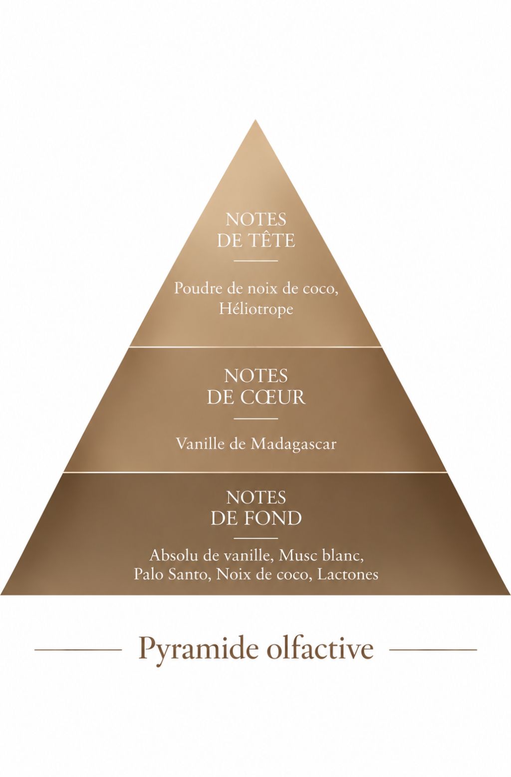 Pyramide olfactive de la recharge 50 ml Vanille Poudrée — inspiration Vanilla Powder, Le Comptoir des Fragrances