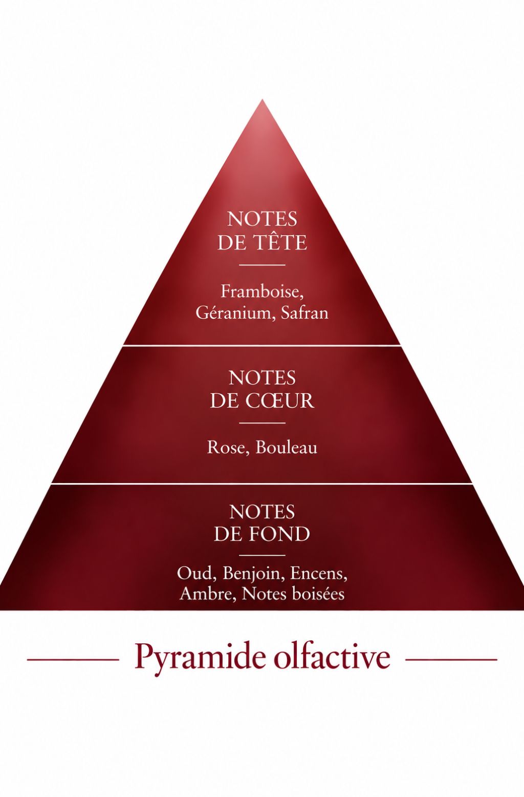 Pyramide Olfactive Oud Nomade inspiration Ombre Nomade Le Comptoir des Fragrances