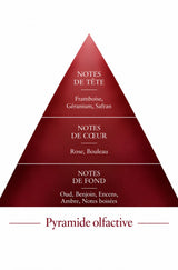 Pyramide olfactive de la recharge 50 ml Oud Nomade — inspiration Ombre Nomade, Le Comptoir des Fragrances