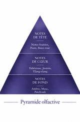 Pyramide olfactive de la recharge 50 ml Suprême — inspiration Supreme Bouquet, Le Comptoir des Fragrances