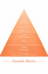 Pyramide Olfactive Kirenzi inspiration Kirké Le Comptoir des Fragrances