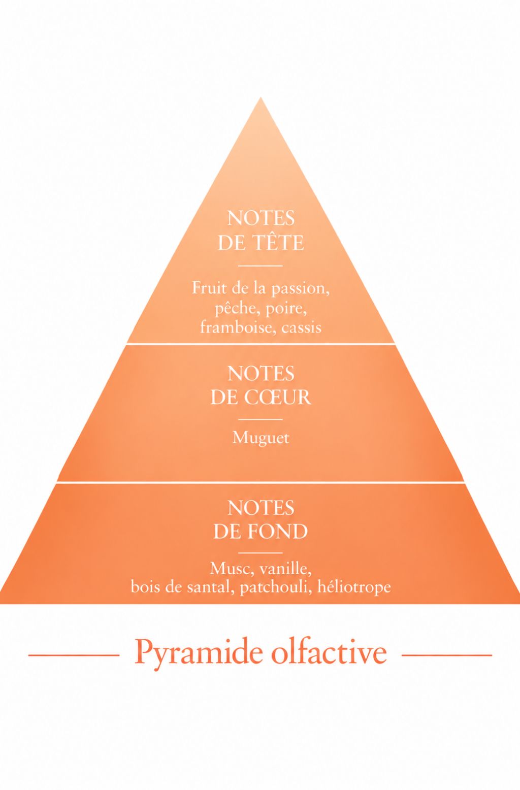 Pyramide olfactive de la recharge 50 ml Kirenzi — inspiration Kirké, Le Comptoir des Fragrances